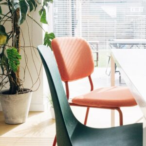 budrich training Coaching und Wissenschaftscoaching